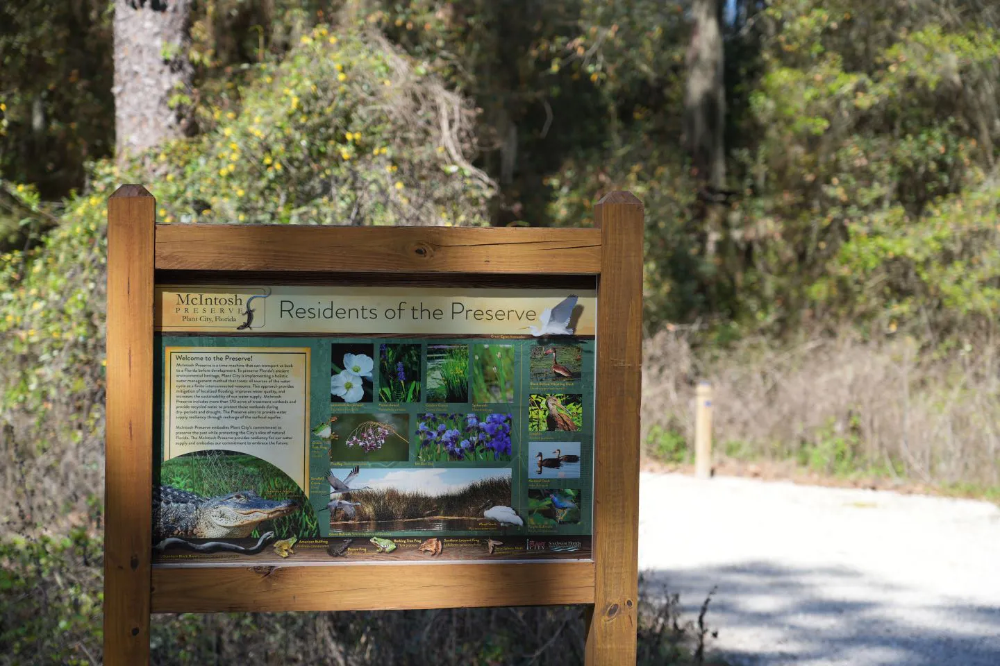 We designed educational signage and kiosks throughout the preserve.