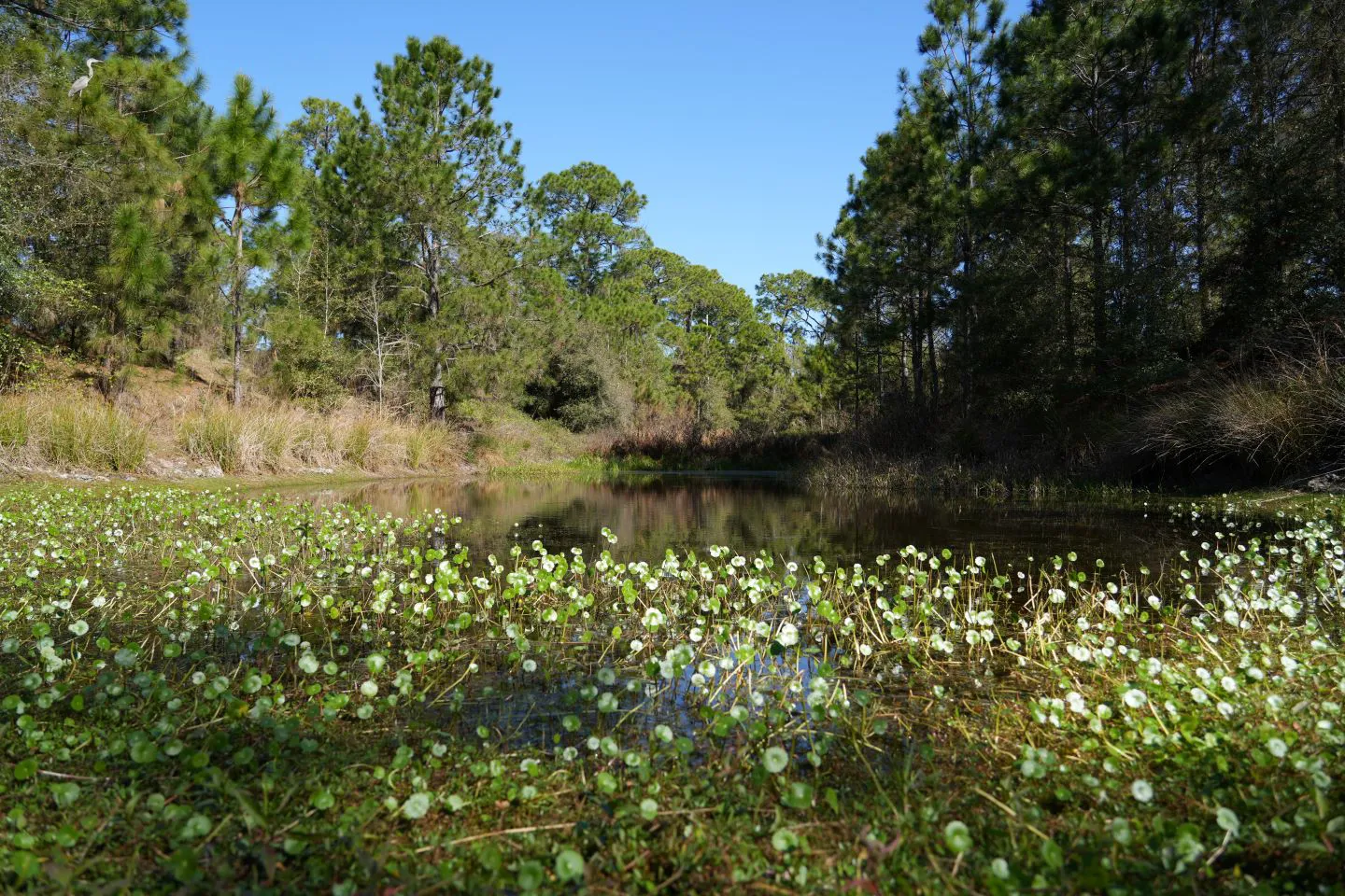 An additional benefit of the project is an increase in the stormwater system capacity, which will reduce localized flooding conditions.